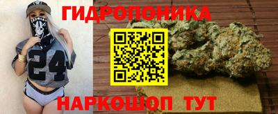 альфа пвп Севастополь