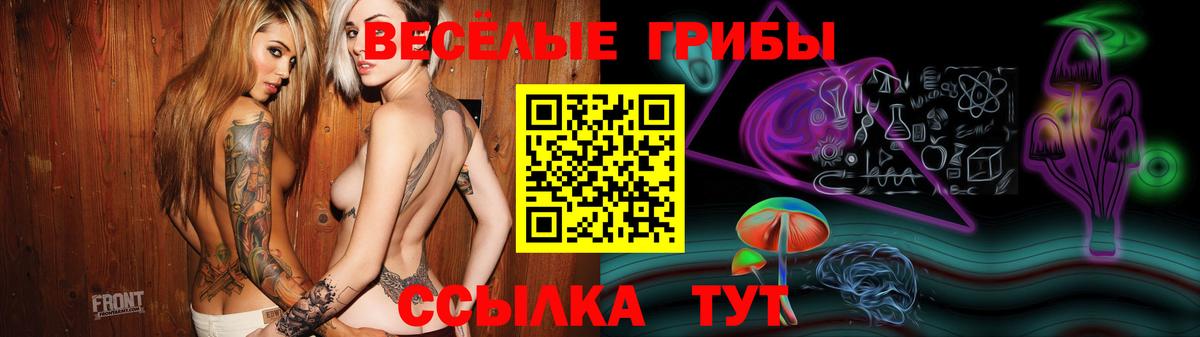 Морозовск  Галлюциногенные грибы Psilocybe  Вход с VPN 
